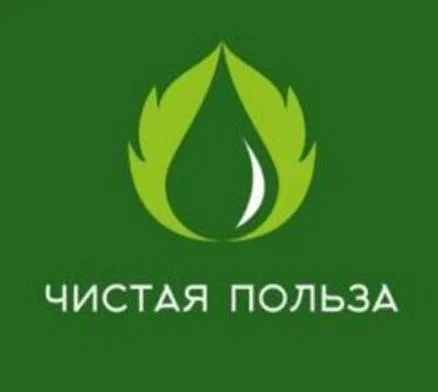Чистая польза